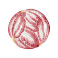 Compagnia Dessert Plates – Set of 4