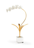 White Orchid in Glass Stand
