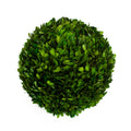 Boxwood Ball 12