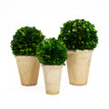 Boxwood Ball Vase, Medium