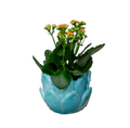 Artichoke Cachepot - Aqua, White, Cobalt, Green, or Yellow