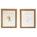 Watercolor Flowers - Tulips and Columbine by Pat Carol - Set of 2