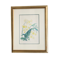 Hand Colored Antique Botanical Lithographs - Dendrobium Fimbriatum