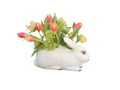 Hand-Painted Ceramic Bunny Tulipiere | Floral Arrangement Vase