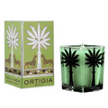 Square Candle - Fico D'india